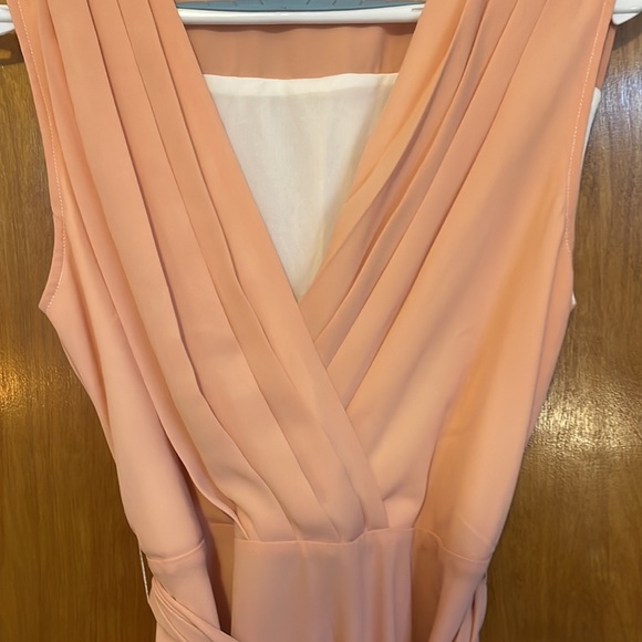 Light Pink Dress - Picture 4 of 4